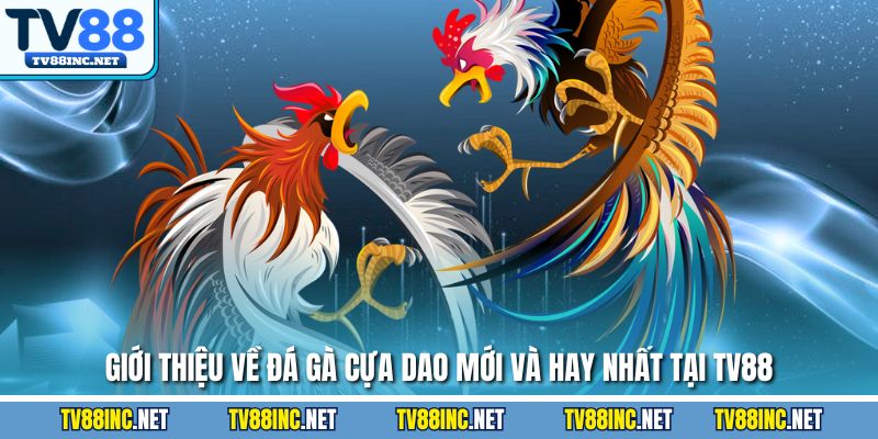 Giới thiệu về đá gà cựa dao mới và hay nhất tại TV88