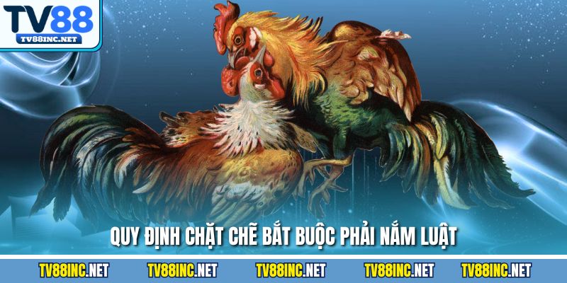 Quy định chặt chẽ bắt buộc phải nắm luật